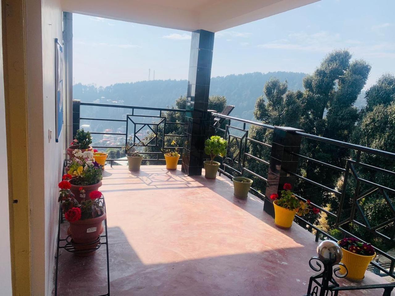Oasis Guest House Bhagsu D'Shala Dharamsala Exteriér fotografie