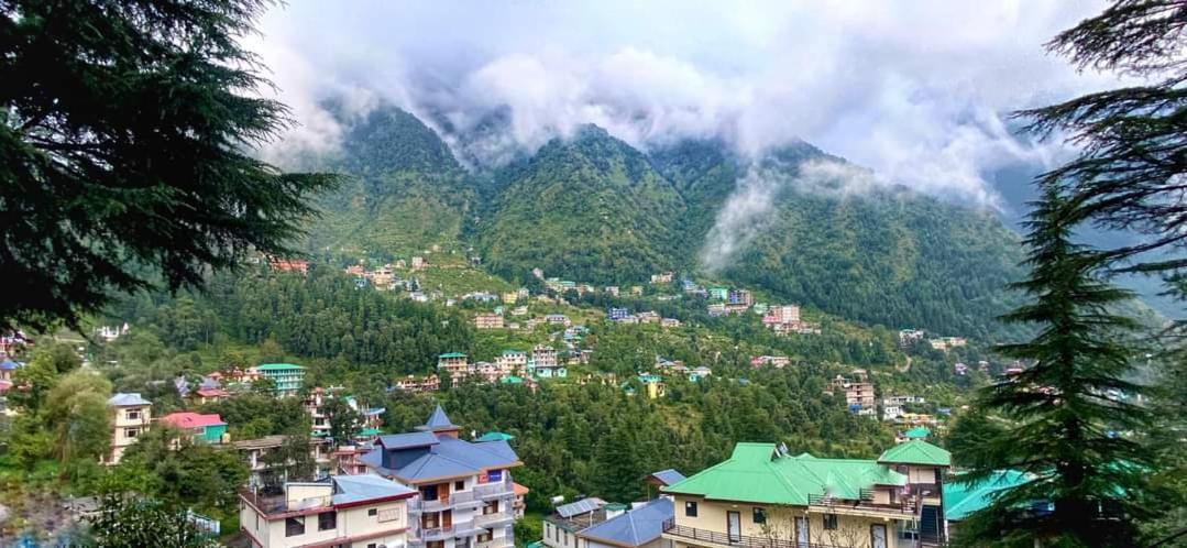Oasis Guest House Bhagsu D'Shala Dharamsala Exteriér fotografie