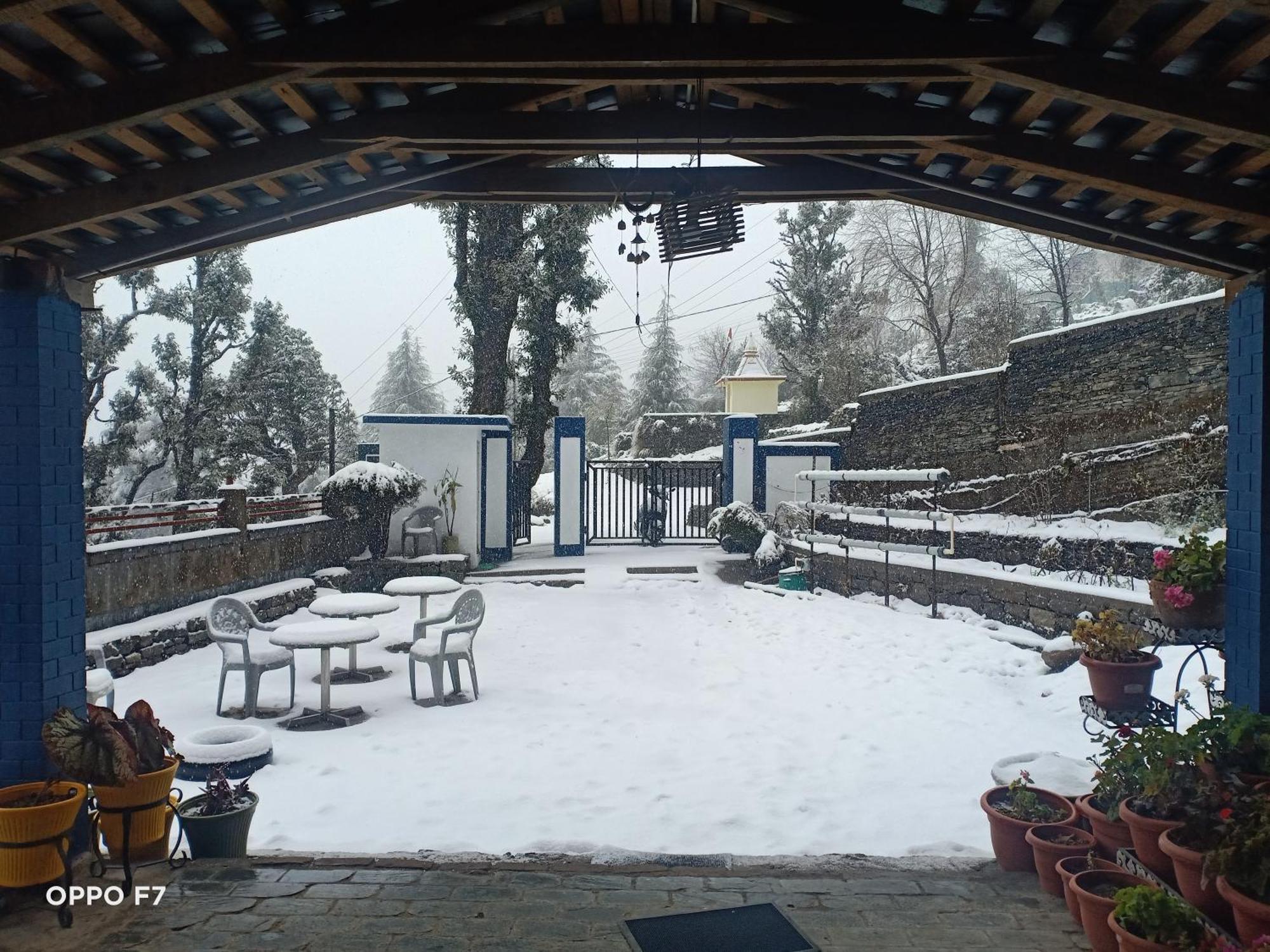 Oasis Guest House Bhagsu D'Shala Dharamsala Exteriér fotografie