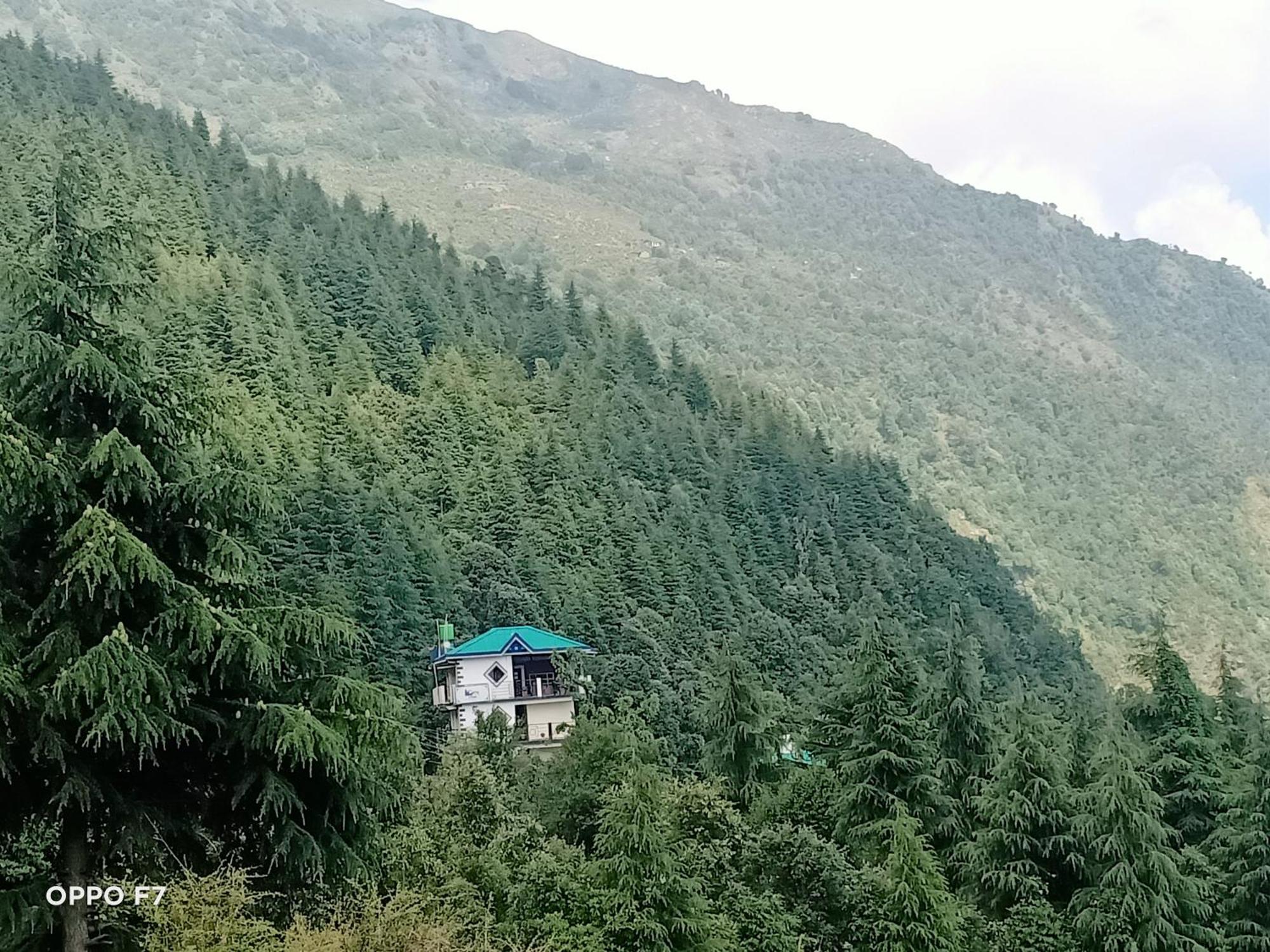 Oasis Guest House Bhagsu D'Shala Dharamsala Exteriér fotografie